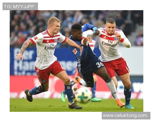 汉堡队制胜球，擒德甲胜利！